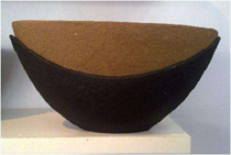 Mesa